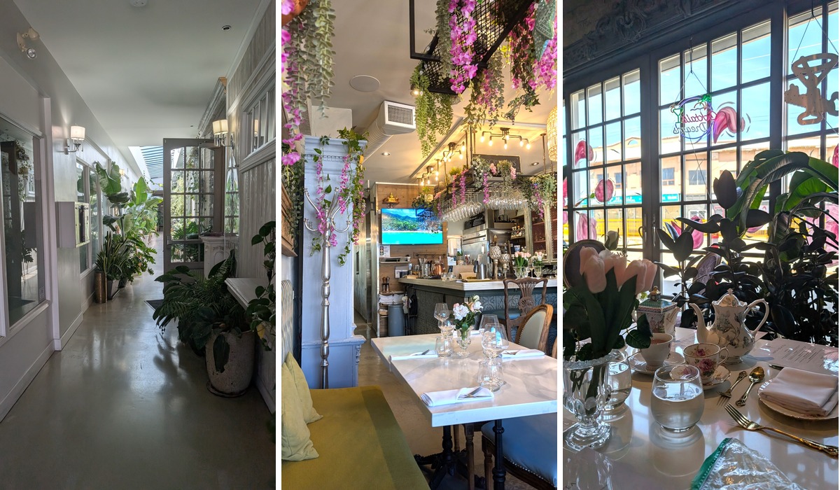 Interior shots of Food by Fanta restaurant showing lots of flowers, trees and hanging plants. 